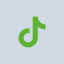 Tiktok Icon